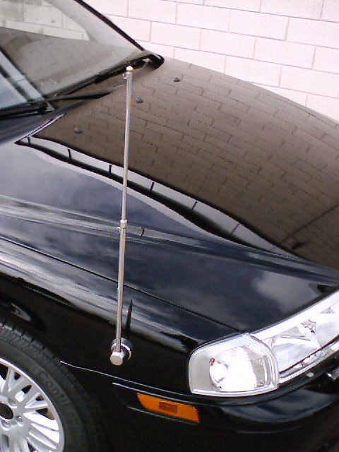 Car flagpole 4